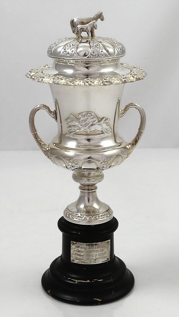American sterling horse trophy